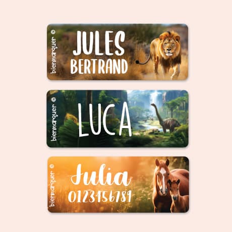 Petites Étiquettes Autocollantes au motif réaliste